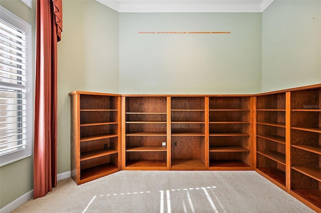 interior space featuring light carpet and ornamental molding