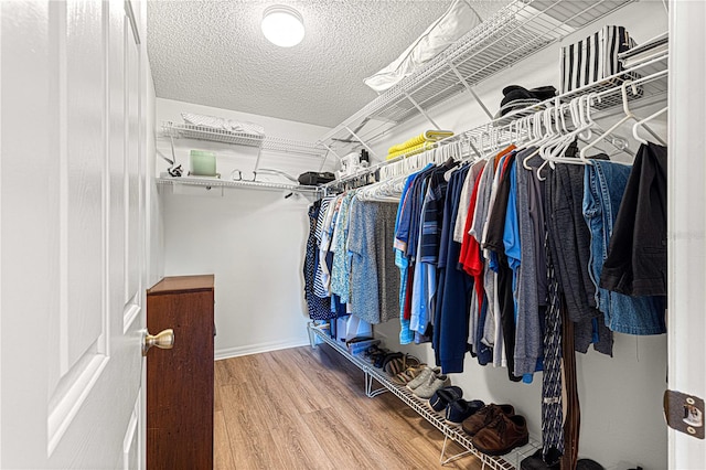 spacious closet with hardwood / wood-style flooring