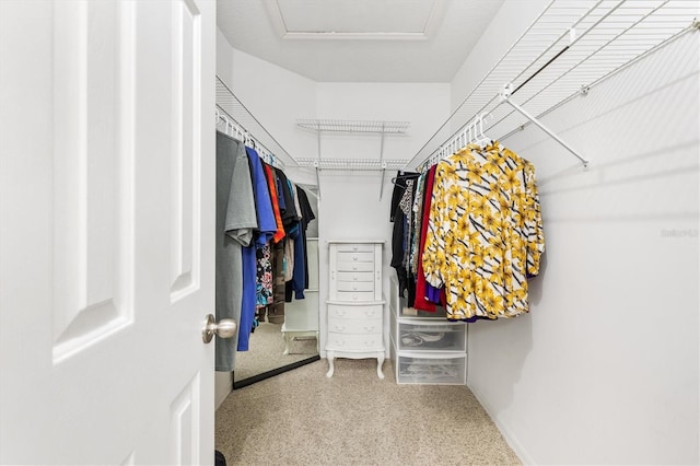 view of walk in closet