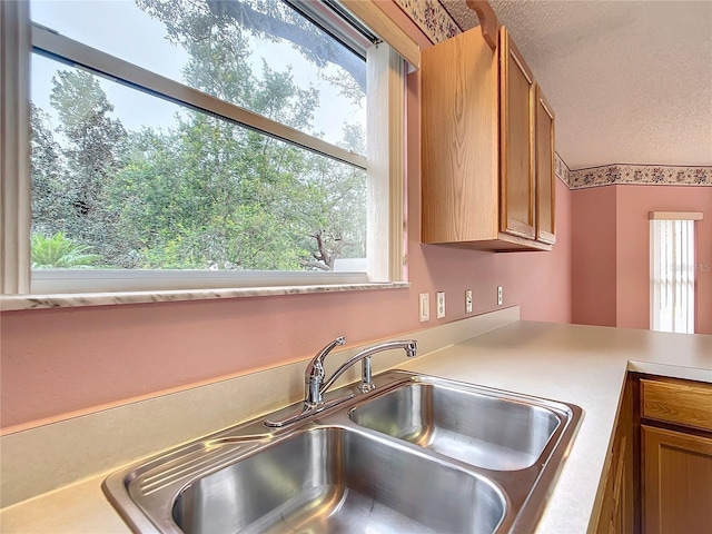 kitchen with a textured ceiling and sink