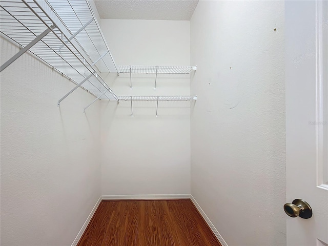 spacious closet with wood-type flooring