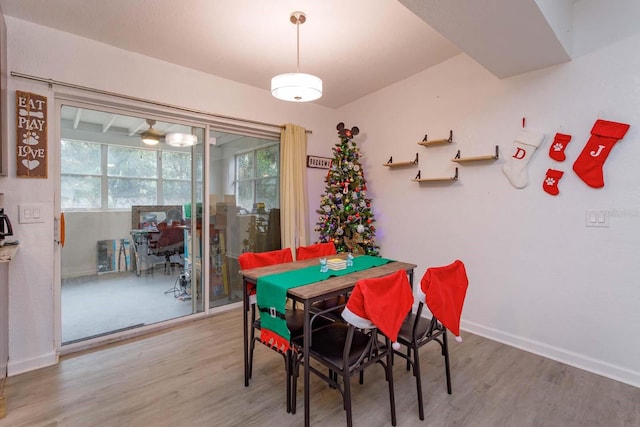 dining area featuring hardwood / wood-style floors and a healthy amount of sunlight