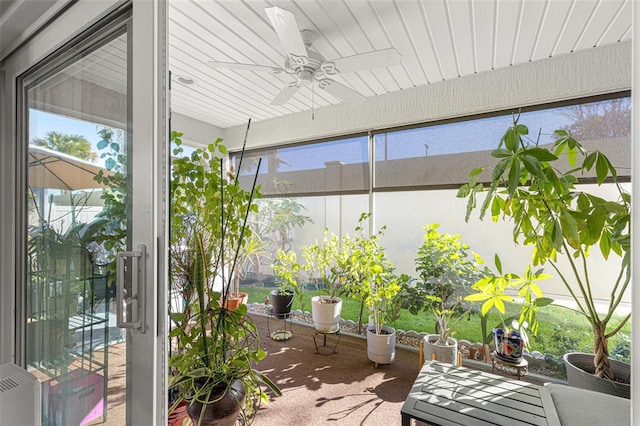 view of patio / terrace with ceiling fan