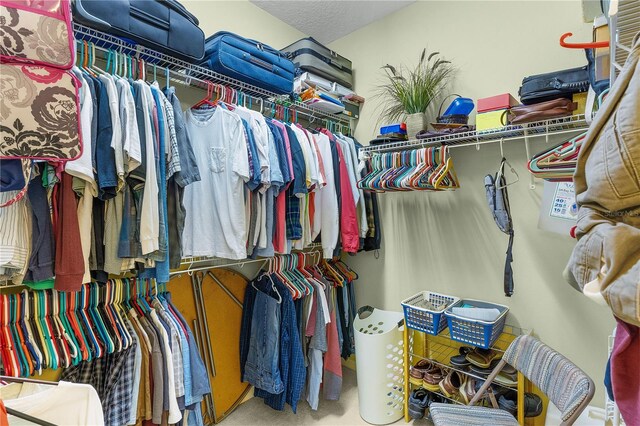 spacious closet featuring carpet