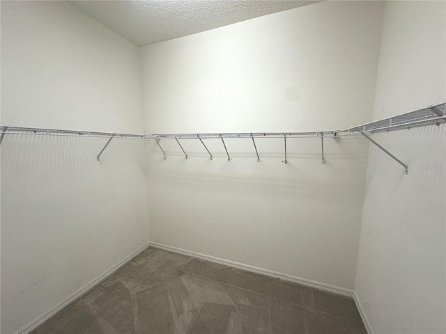 walk in closet with dark carpet