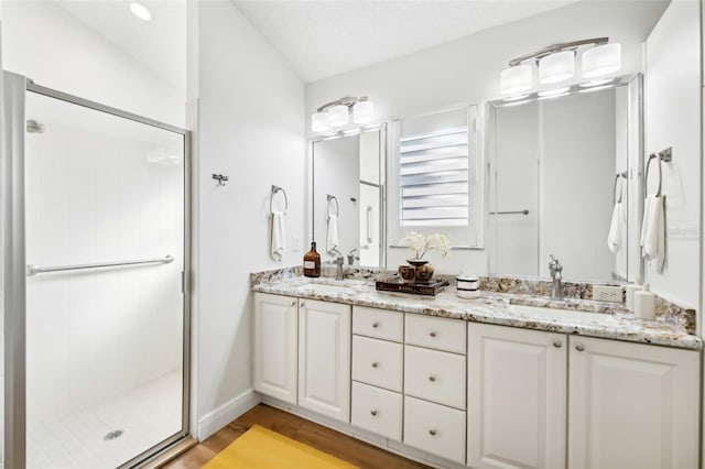 bathroom featuring wood-type flooring, vanity, and a shower with door