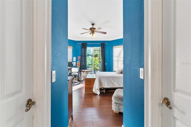 bedroom featuring ceiling fan, dark hardwood / wood-style floors, and ornamental molding