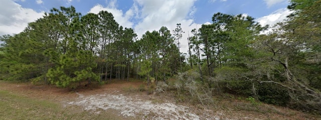 6115 Oil Well Rd, Clermont FL, 34714 land for sale