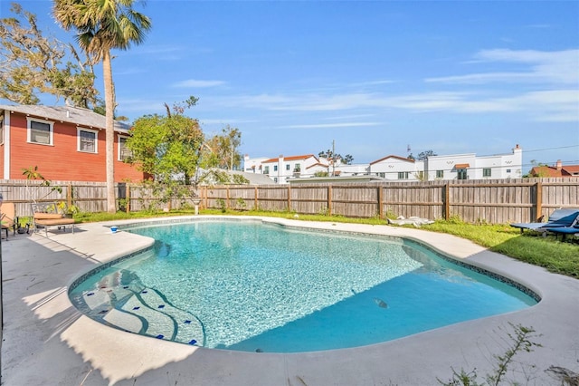 view of pool featuring a patio