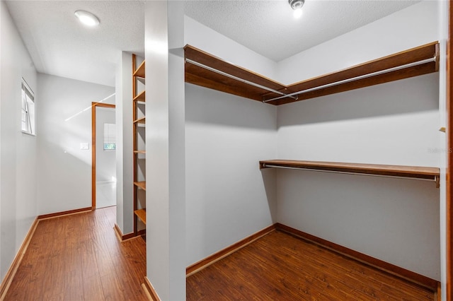 walk in closet with hardwood / wood-style flooring