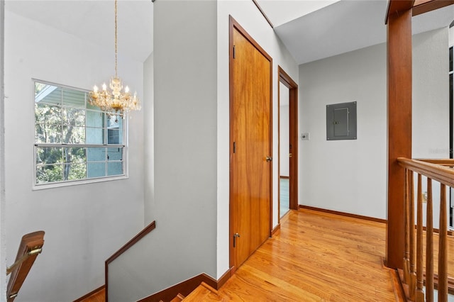 hallway featuring electric panel, light hardwood / wood-style floors, and an inviting chandelier