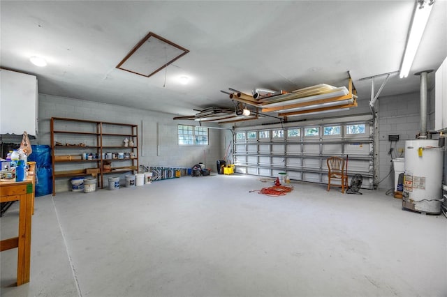 garage featuring a garage door opener and water heater