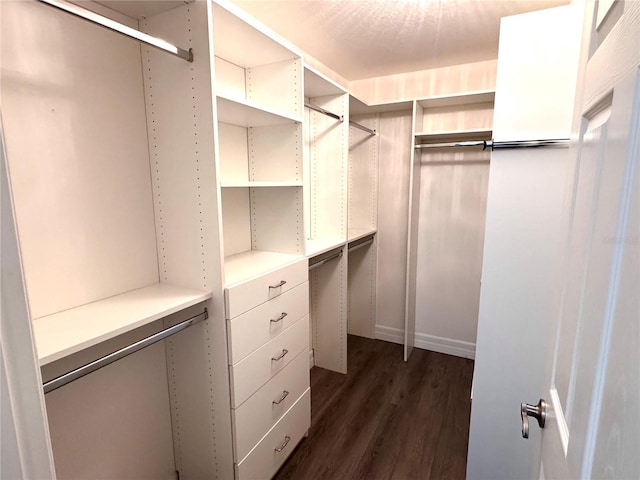 spacious closet featuring dark hardwood / wood-style floors