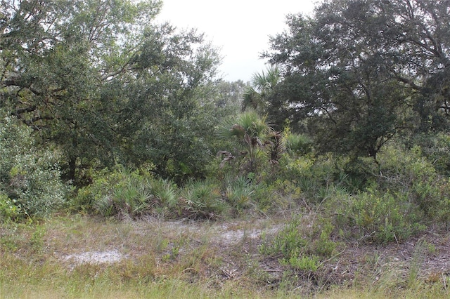 NW 304th St, Okeechobee FL, 34972 land for sale