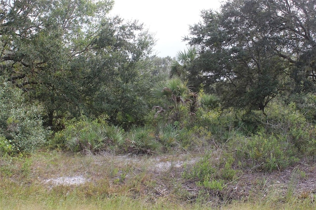 NW 304th St, Okeechobee, FL 34972