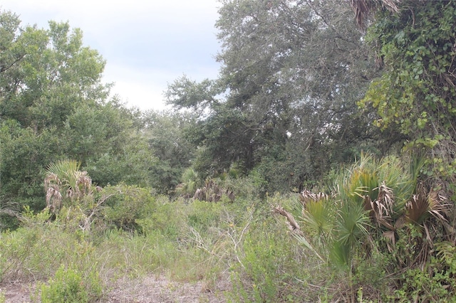NW 304th St, Okeechobee, FL 34972