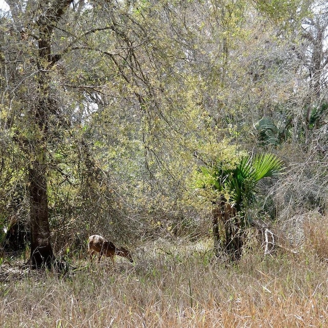 NW 304th St, Okeechobee, FL 34972