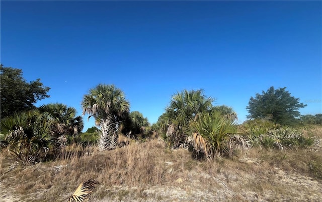 NW 304th St, Okeechobee, FL 34972
