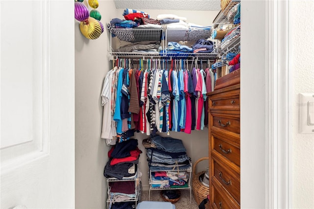 view of spacious closet