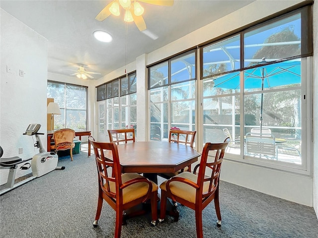 sunroom / solarium with plenty of natural light and ceiling fan