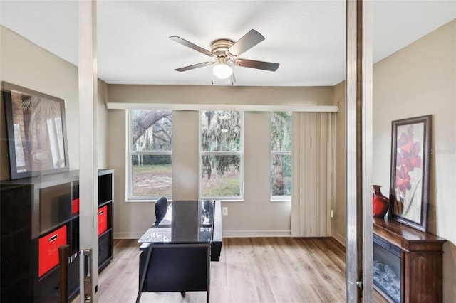 office space featuring light hardwood / wood-style flooring and ceiling fan