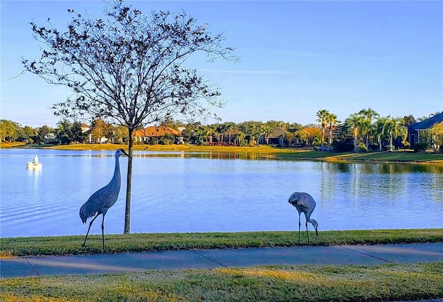 water view