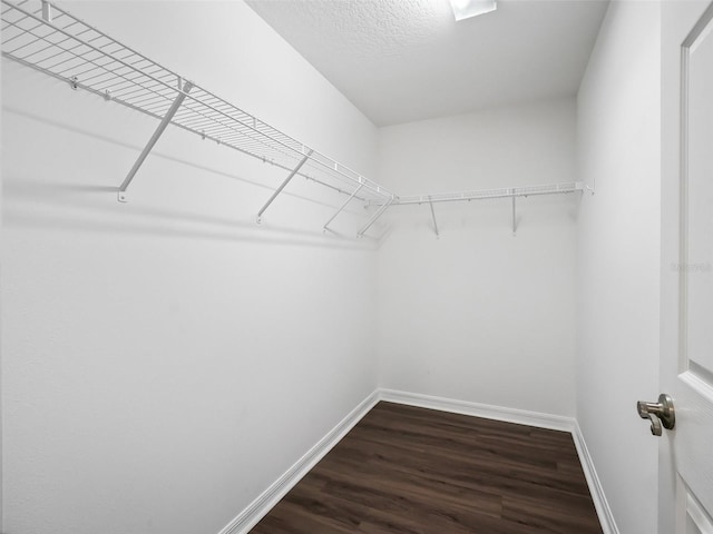 spacious closet featuring dark wood-type flooring