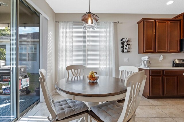 tiled dining room featuring plenty of natural light