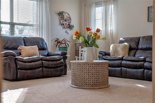 view of carpeted living room