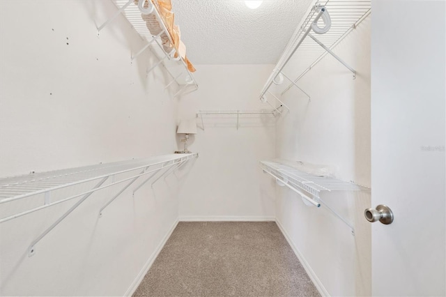 spacious closet featuring light colored carpet