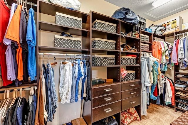 spacious closet with light carpet