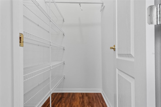 walk in closet featuring dark hardwood / wood-style flooring