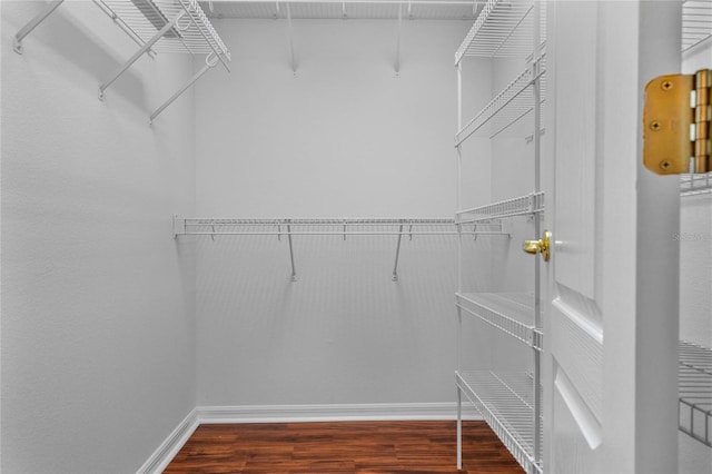 walk in closet featuring dark hardwood / wood-style floors