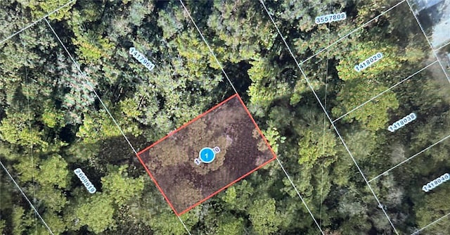 Stacey Dr, Mount Dora FL, 32757 land for sale