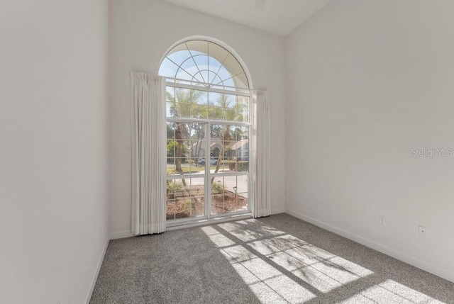 spare room with light colored carpet