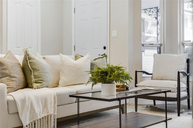 living room with wood-type flooring