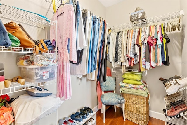 spacious closet with wood-type flooring