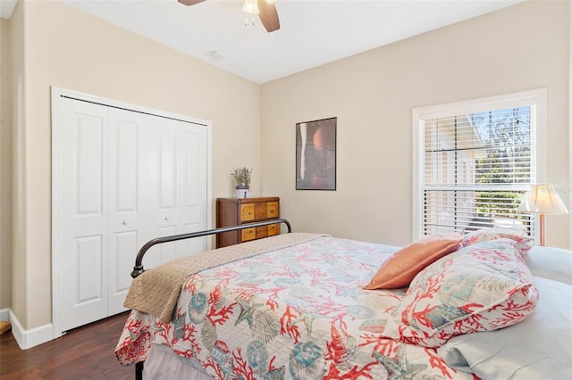 bedroom featuring ceiling fan, dark hardwood / wood-style floors, and a closet