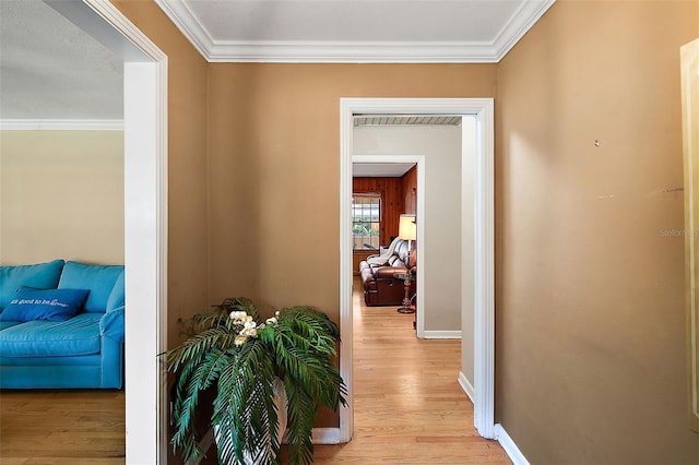 corridor featuring light hardwood / wood-style flooring and ornamental molding