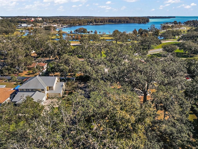 drone / aerial view with a water view