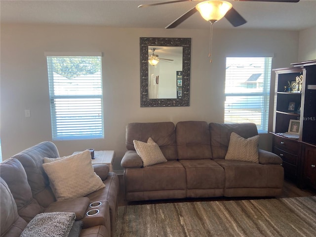 living room with plenty of natural light and ceiling fan