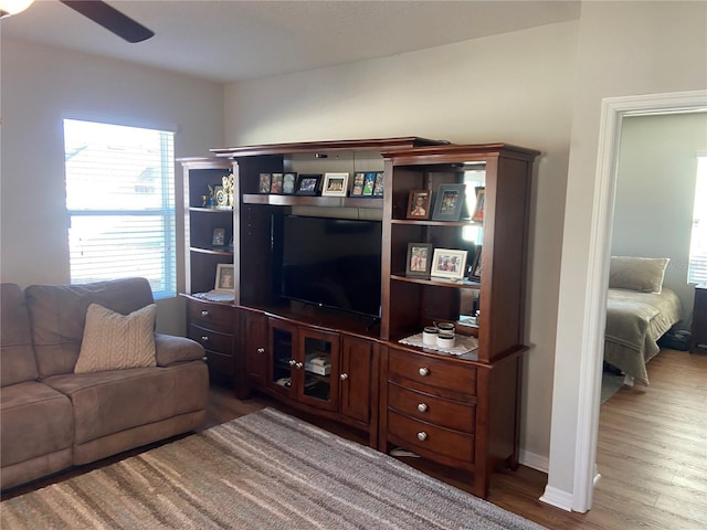 living room featuring ceiling fan and hardwood / wood-style floors