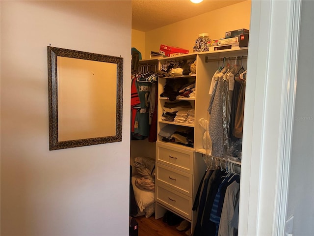 spacious closet with hardwood / wood-style flooring