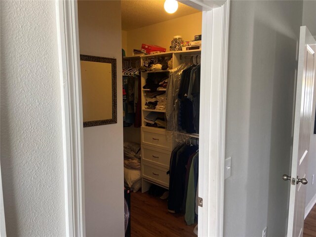 spacious closet featuring dark hardwood / wood-style flooring