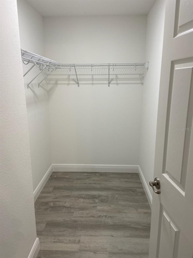 spacious closet with dark hardwood / wood-style floors