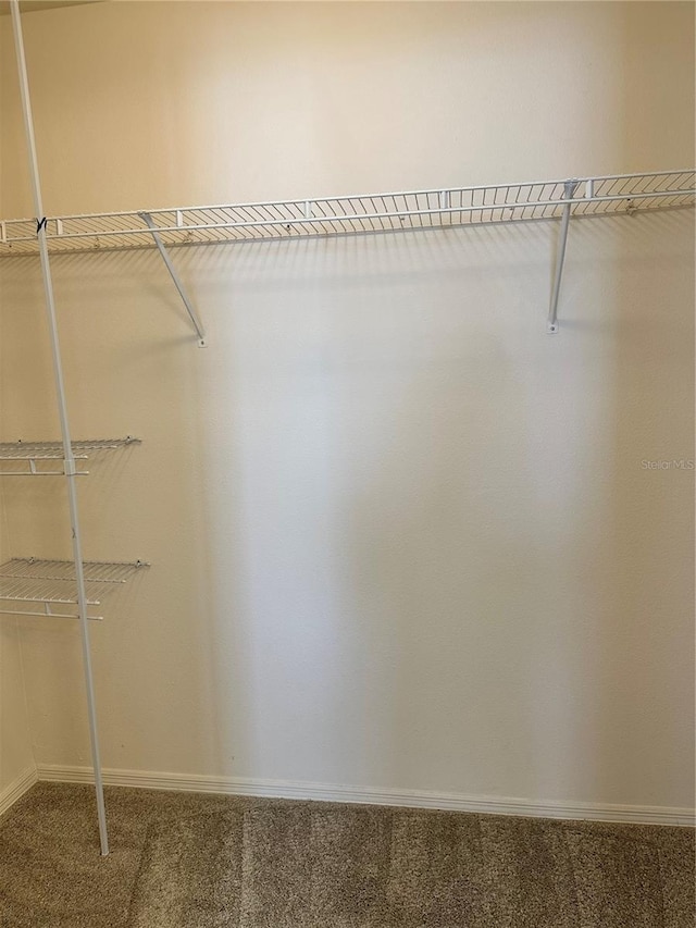 420 Summit Ridge Pl Unit 214, Longwood, FL 32779 - spacious closet with carpet flooring