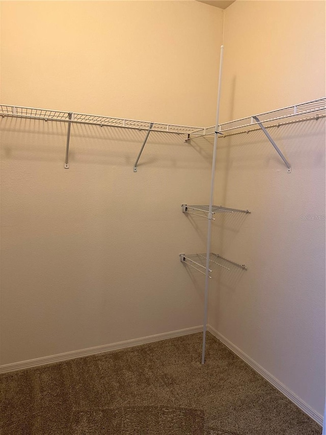 420 Summit Ridge Pl Unit 214, Longwood, FL 32779 - spacious closet with carpet floors