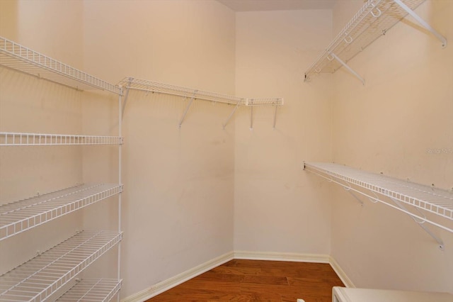 spacious closet featuring hardwood / wood-style floors