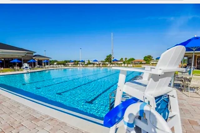 view of pool featuring a patio