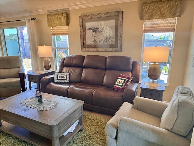 living room with plenty of natural light and crown molding